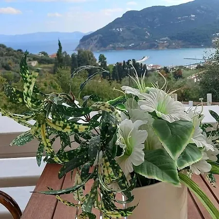 Aspalathus Gold Βίλα *