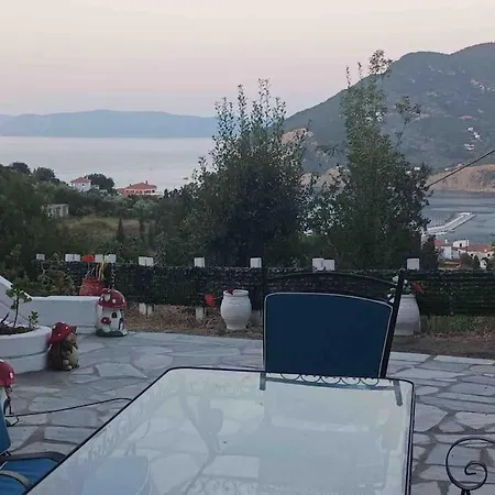 Aspalathus Gold Σκόπελος